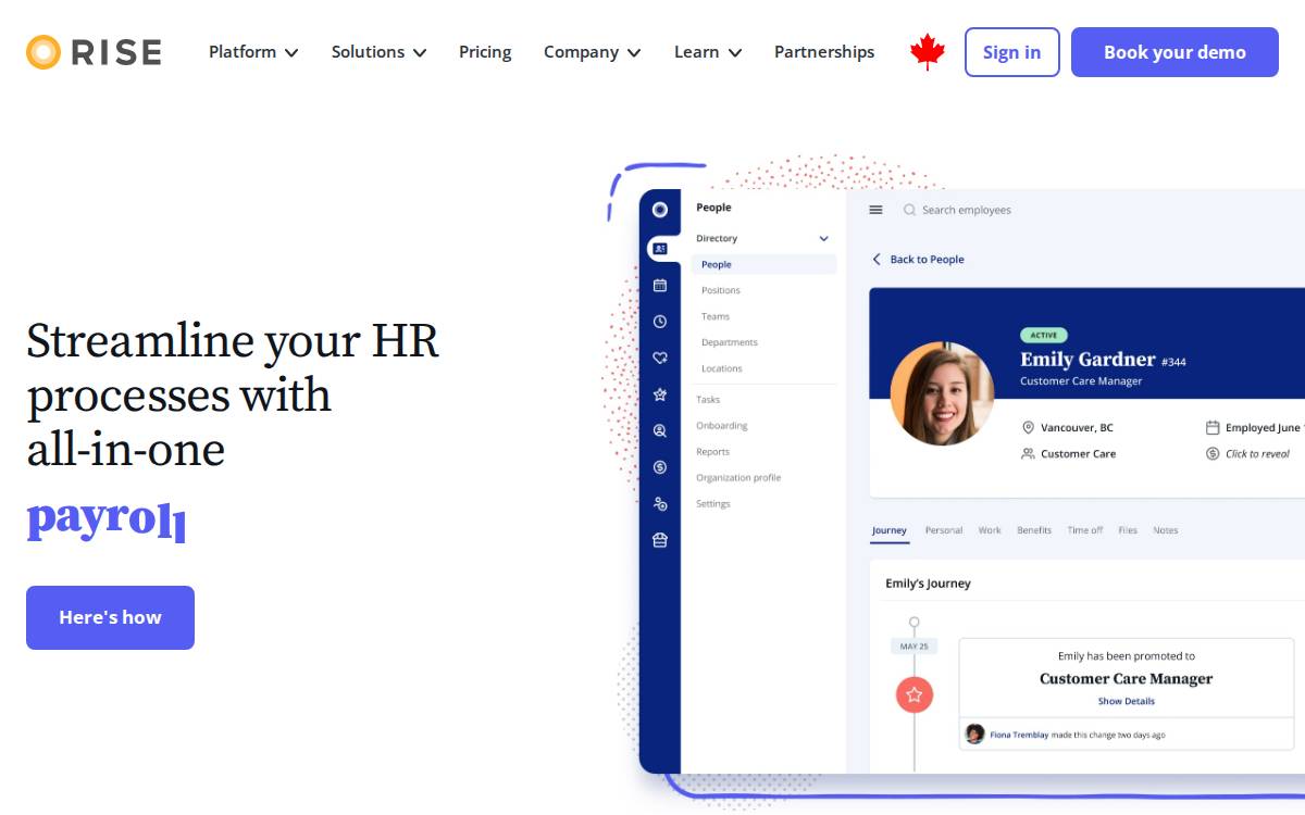 RISE website preview