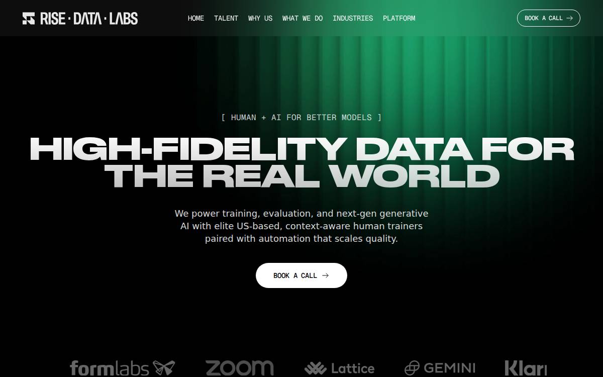 Rise Data Labs website preview