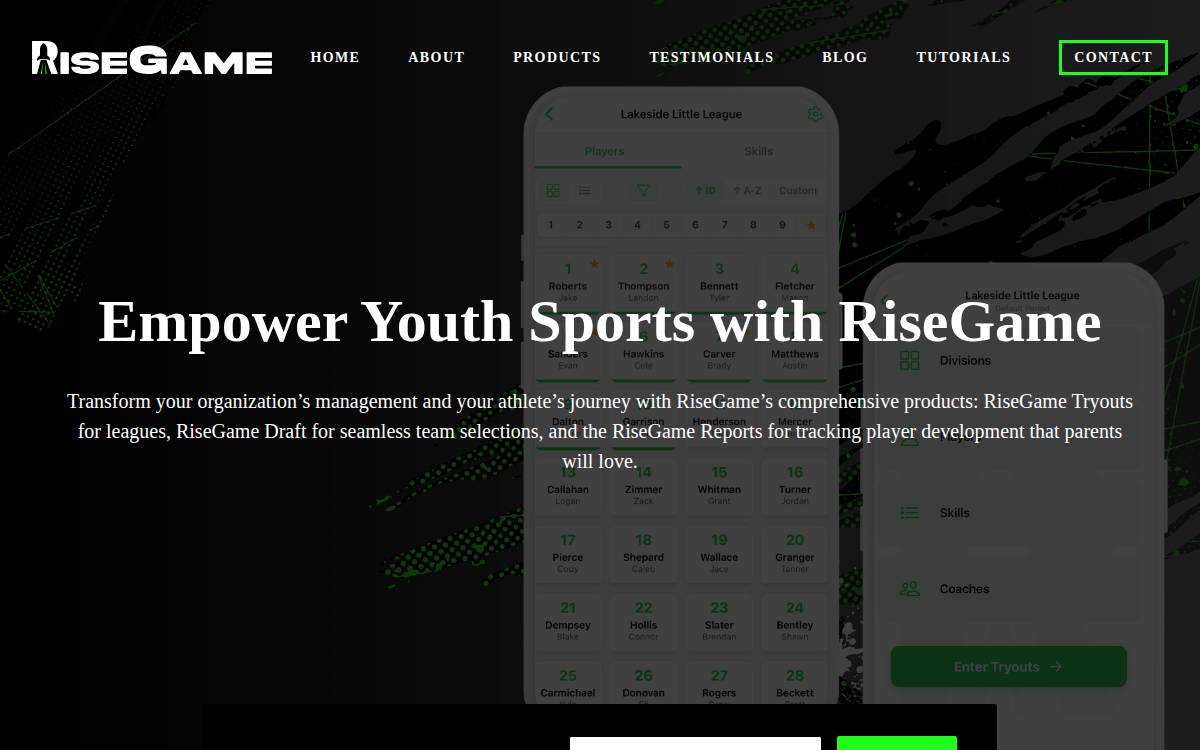 Risegame website preview