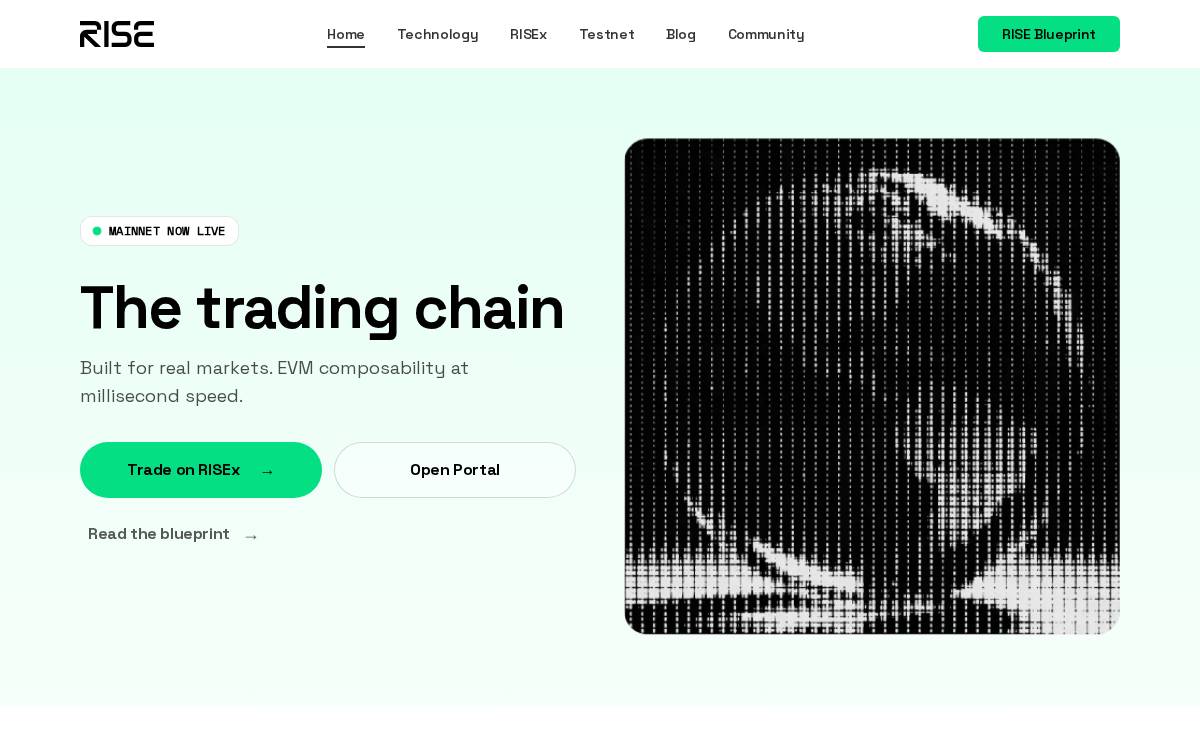 Riselabs website preview