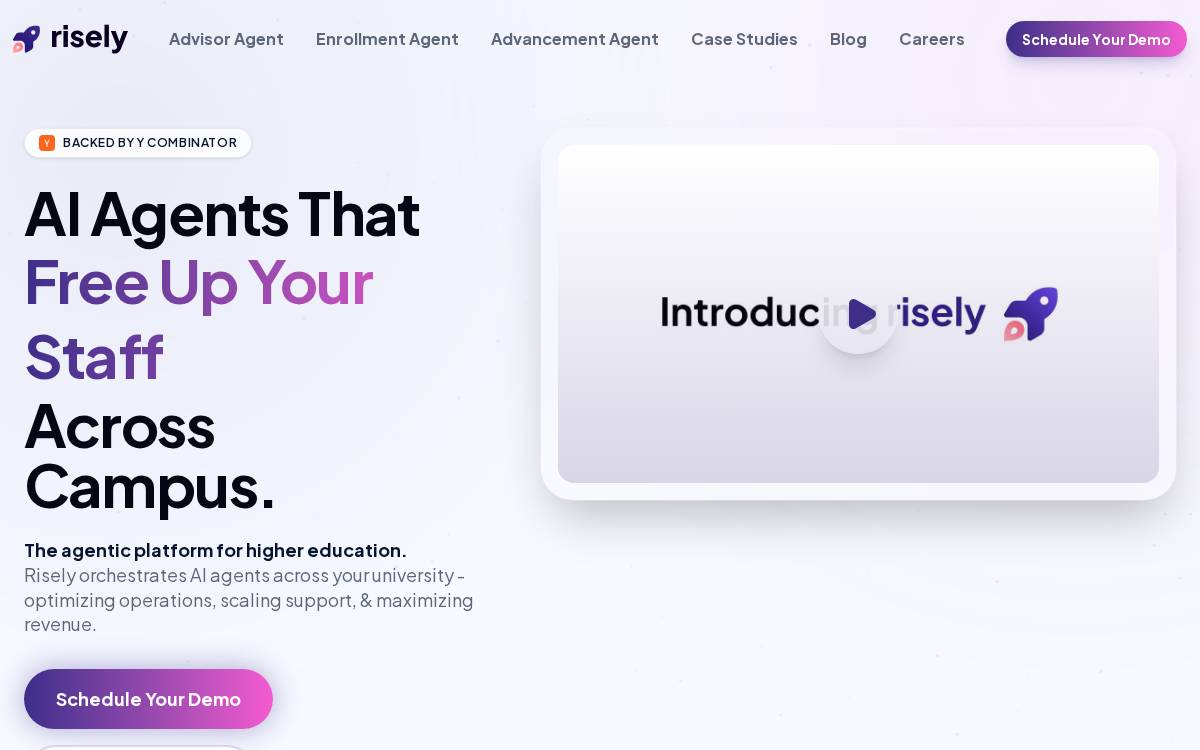 Risely AI website preview