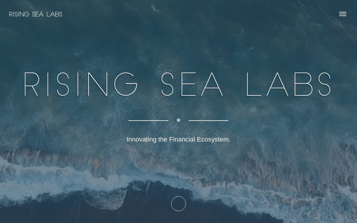 Risingsealabs website preview