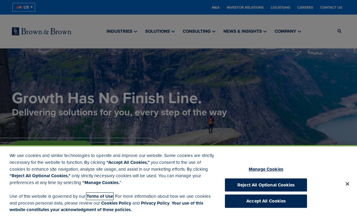 Risk Strategies website preview