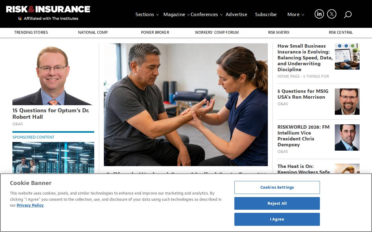 Riskandinsurance website preview