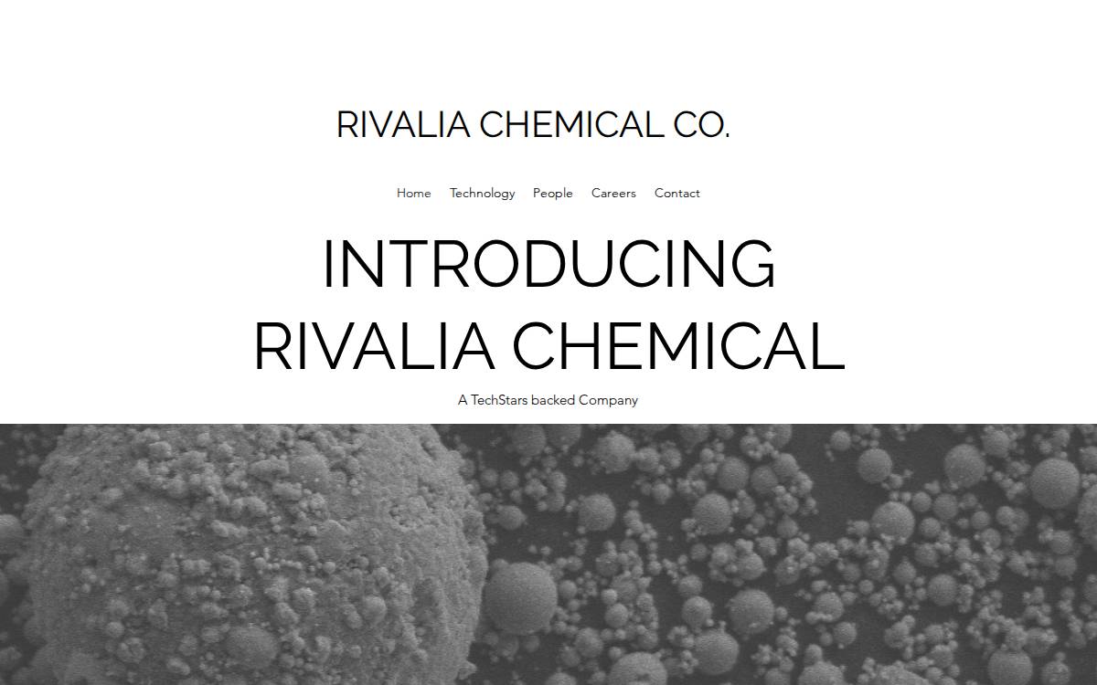 Rivalia Chemical Co. website preview