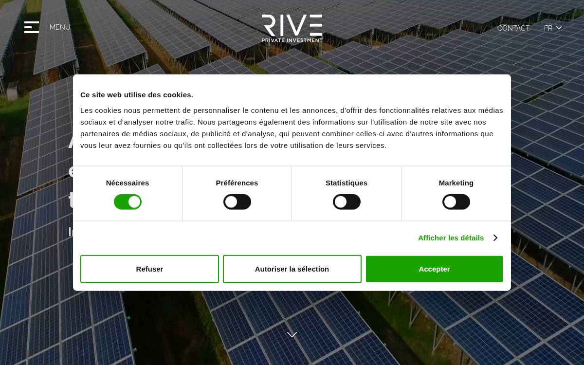 Rive Investment website preview