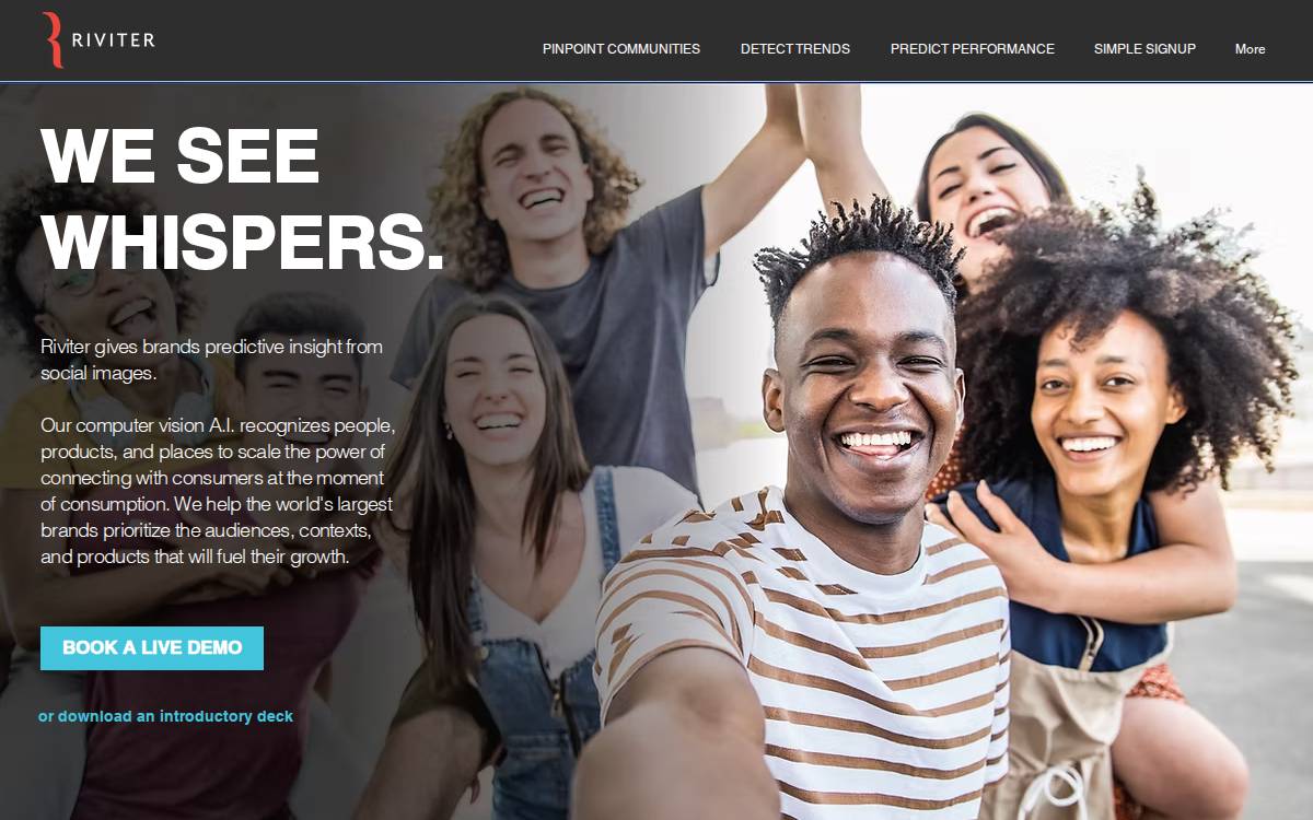 Riviter website preview