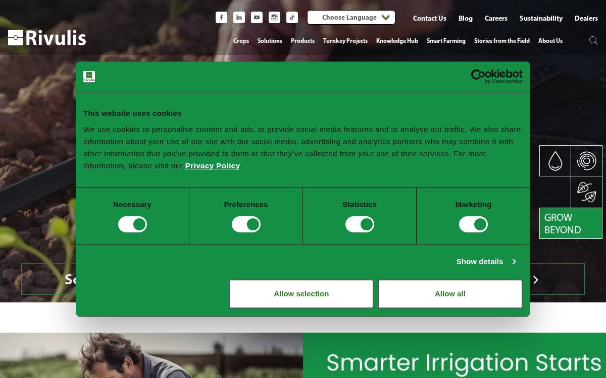 Rivulis website preview