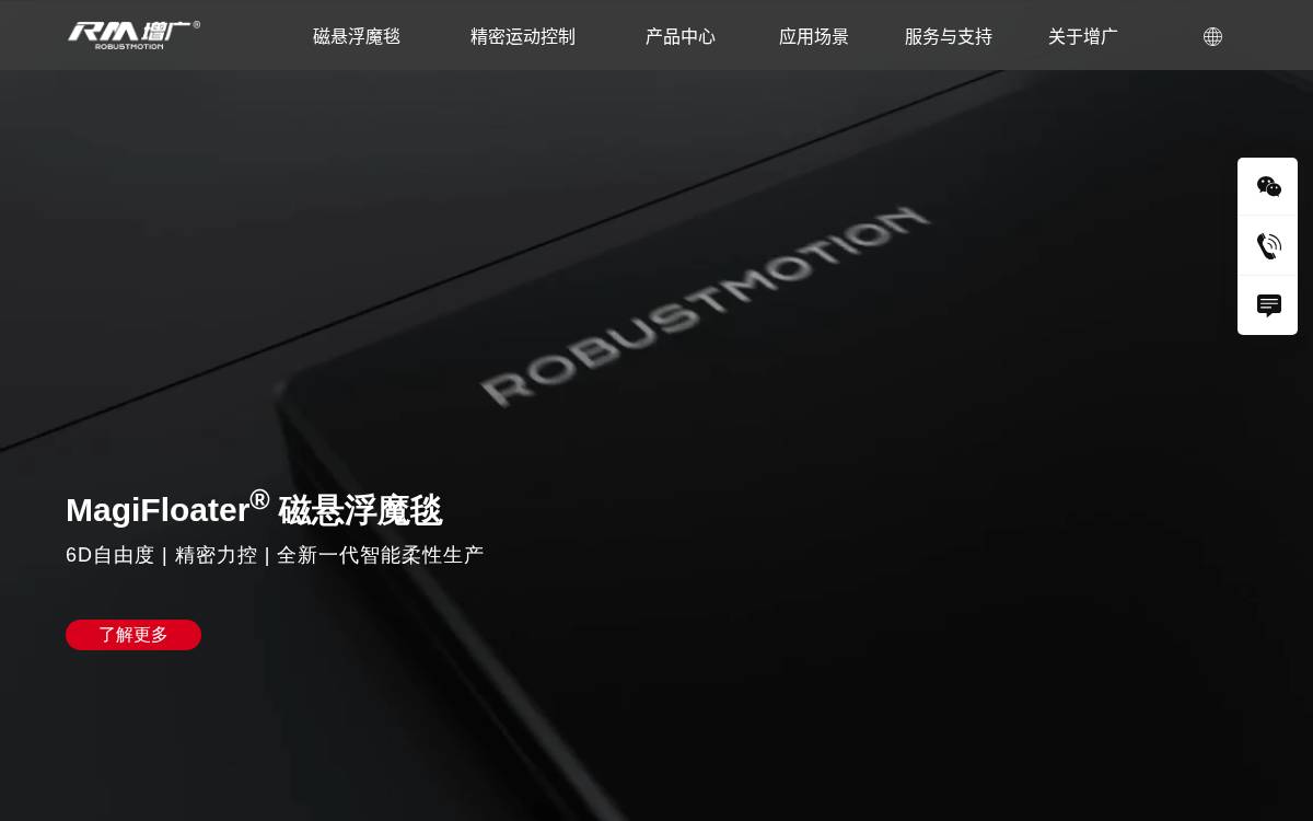 Rmaxis website preview
