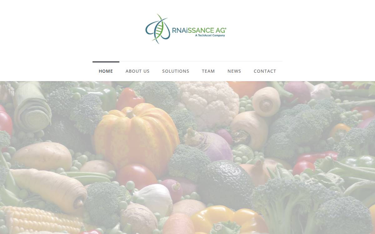 RNAiSSANCE AG website preview
