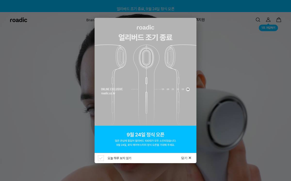 Roadic website preview