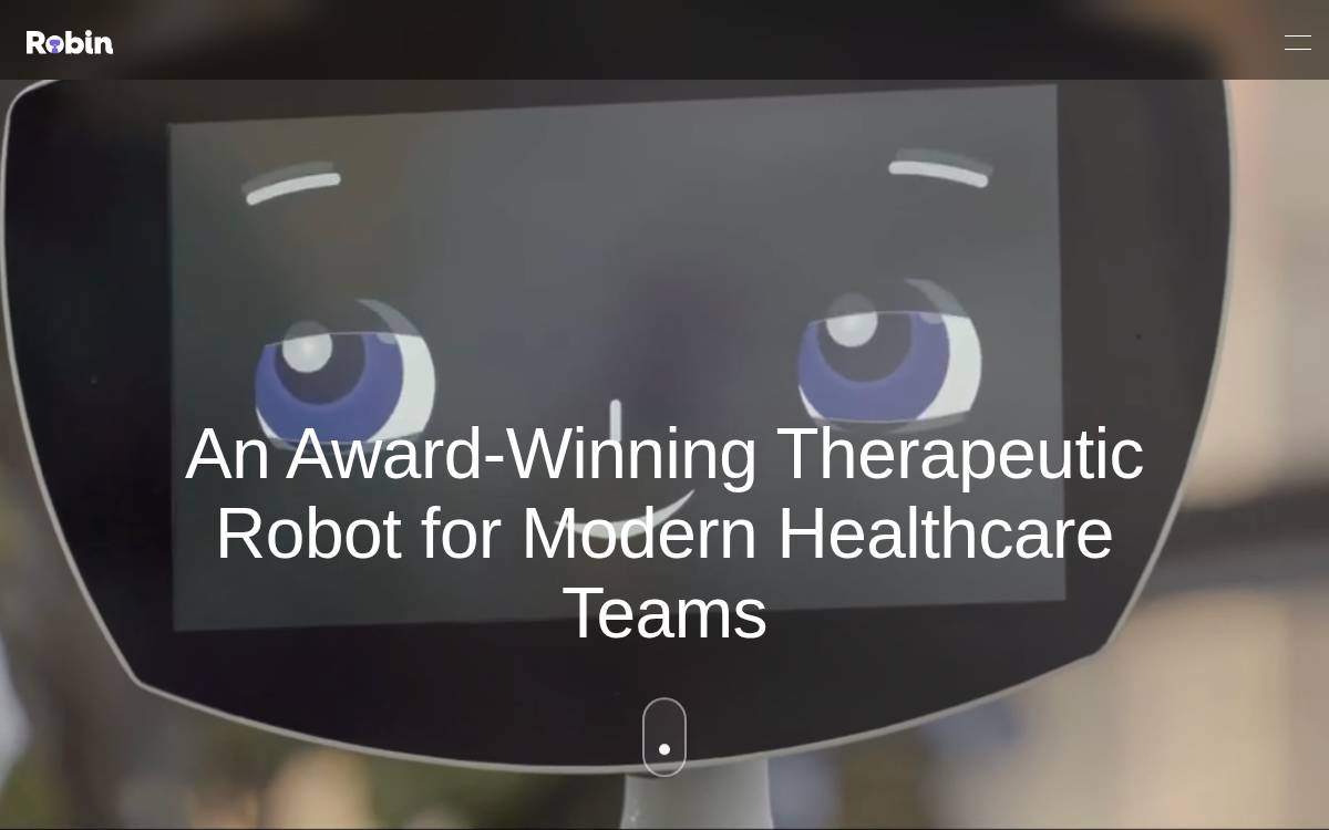 Robinrobot website preview