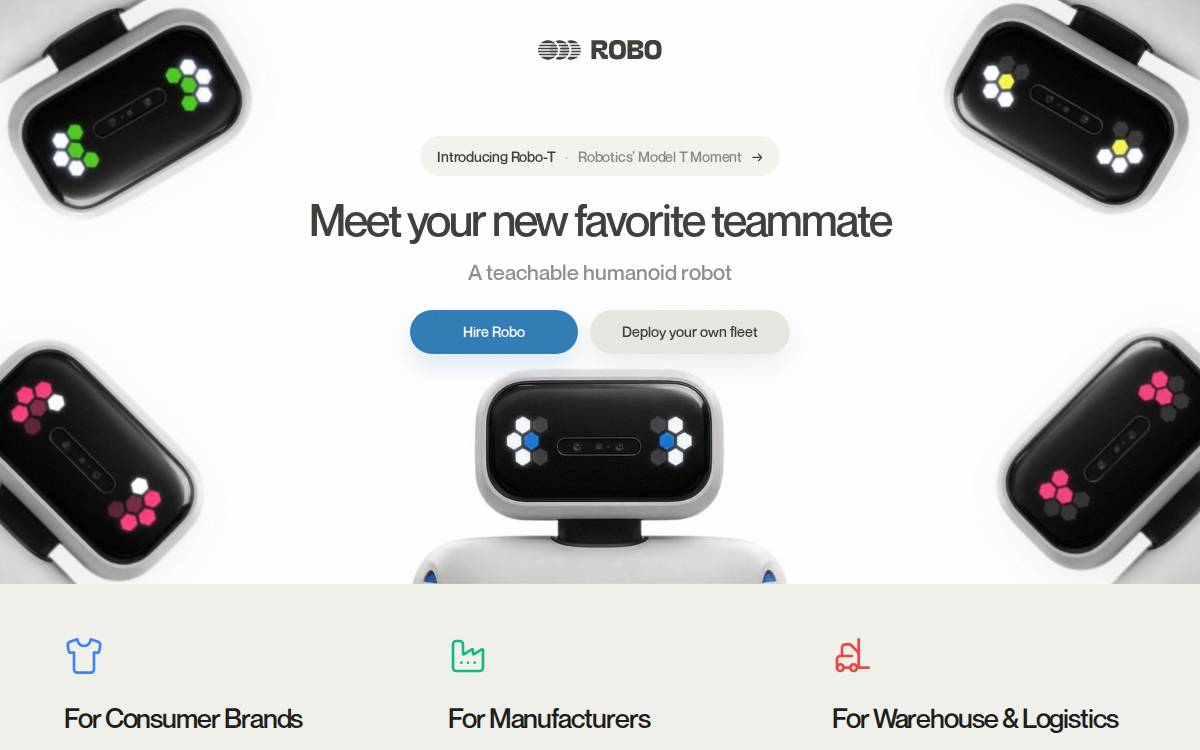 Robo Private website preview