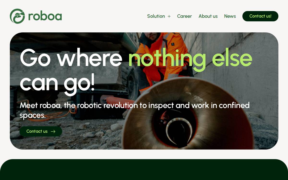 Roboa website preview