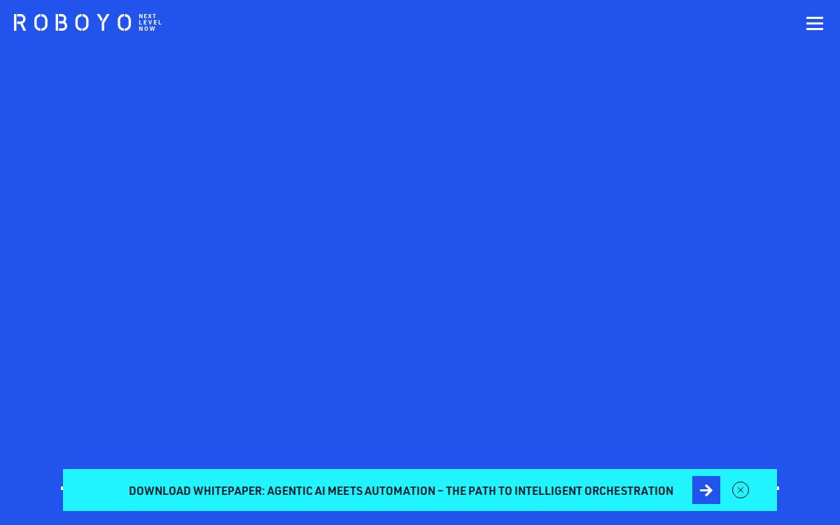 Roboyo website preview