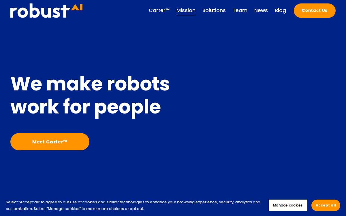Robust AI website preview