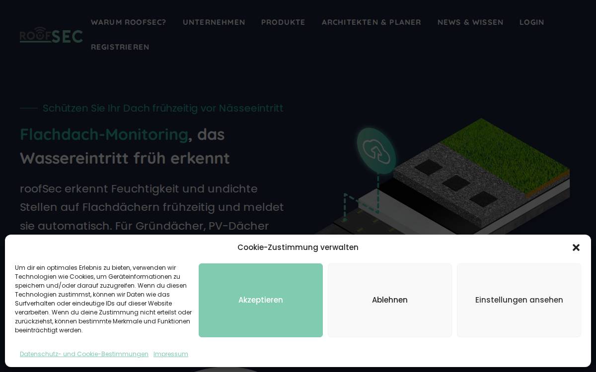 roofSec website preview