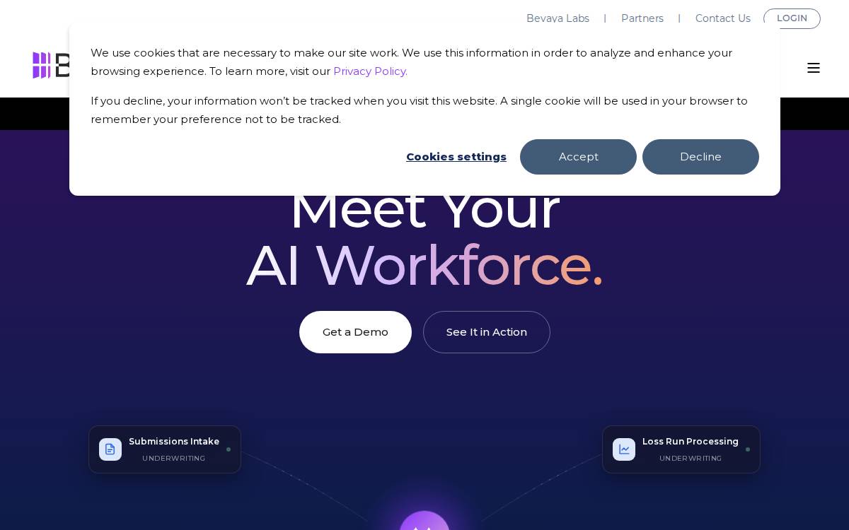Roots website preview