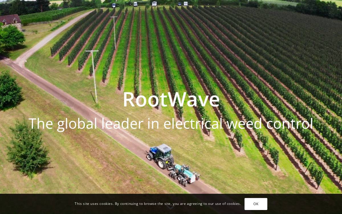 RootWave website preview
