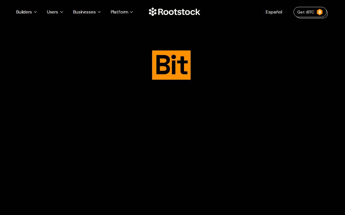 Rsk website preview