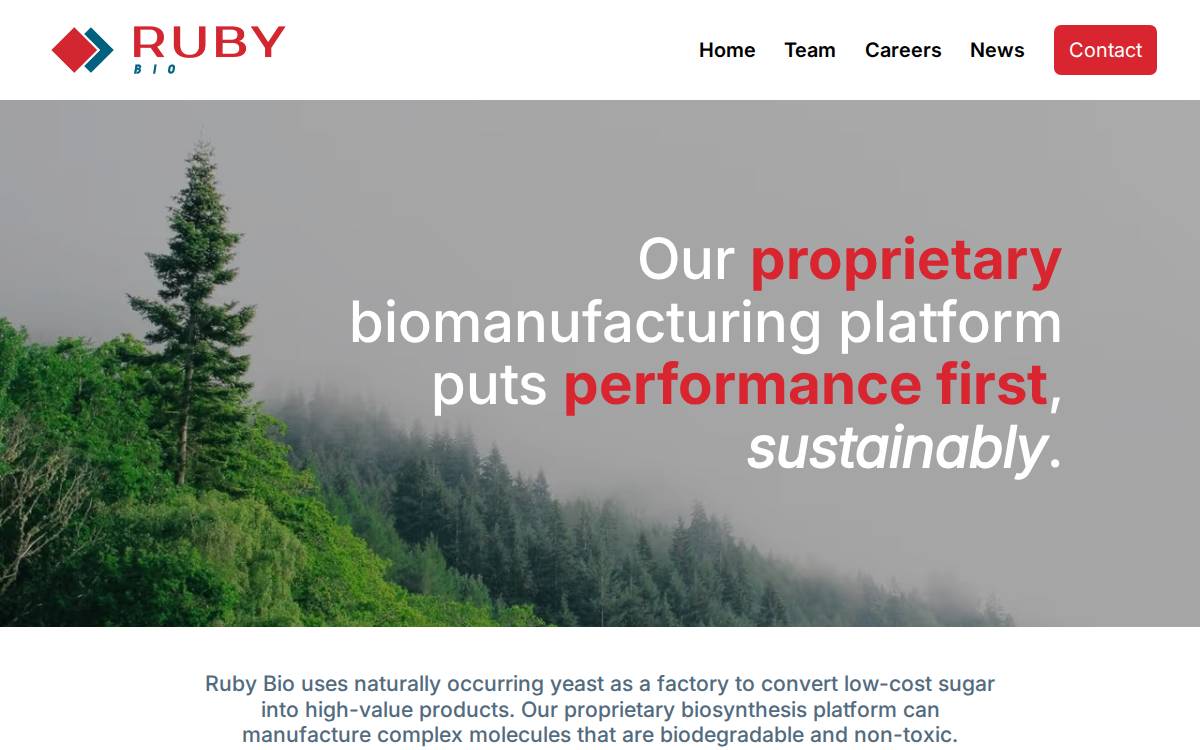 Ruby website preview