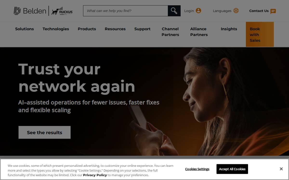 Ruckus Networks website preview