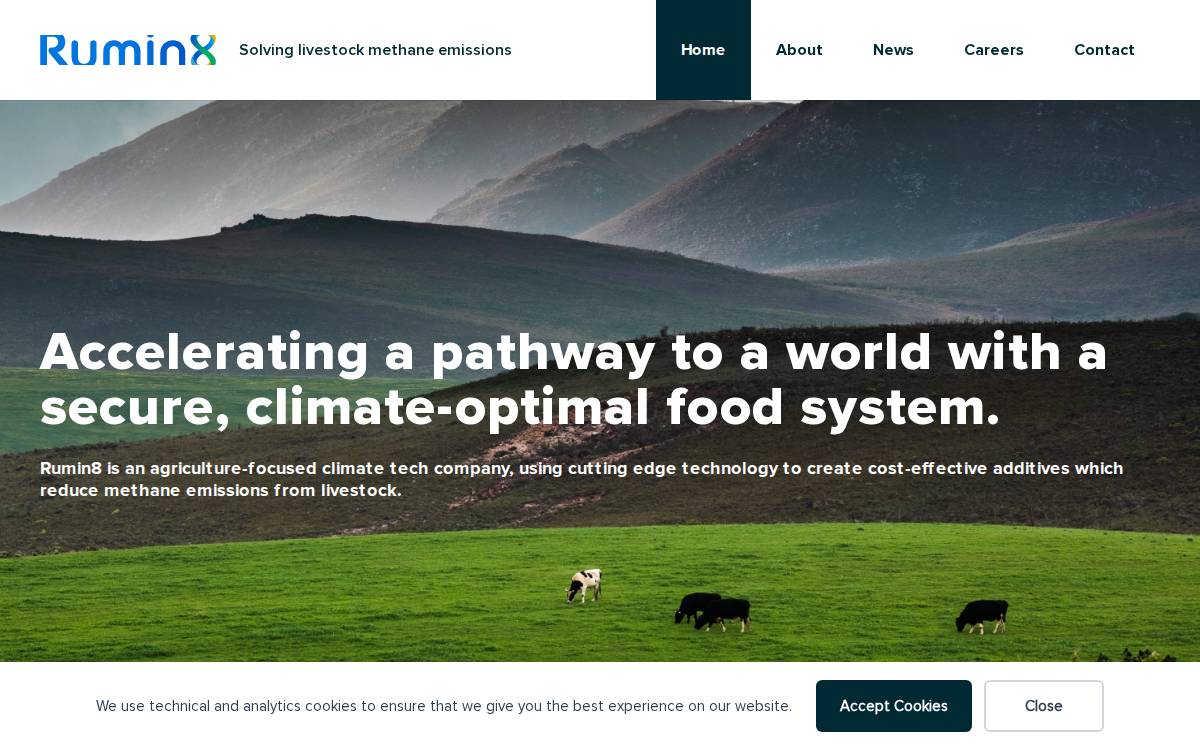 Rumin8 website preview