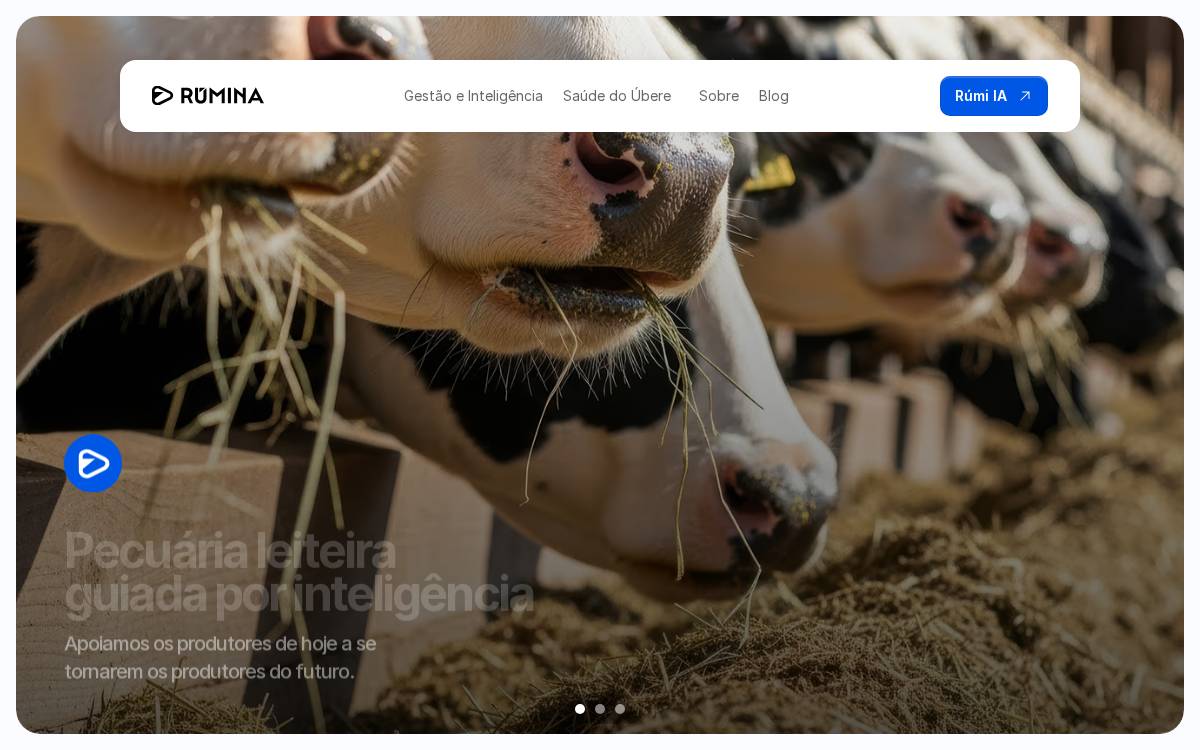 Rúmina website preview