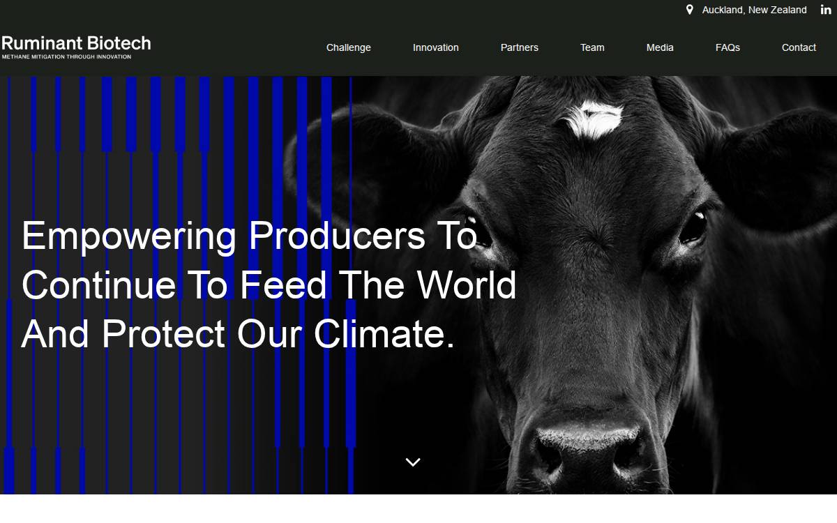 Ruminantbiotech website preview