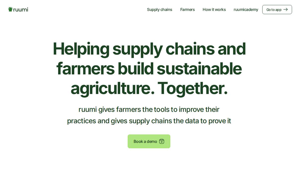 Ruumi website preview