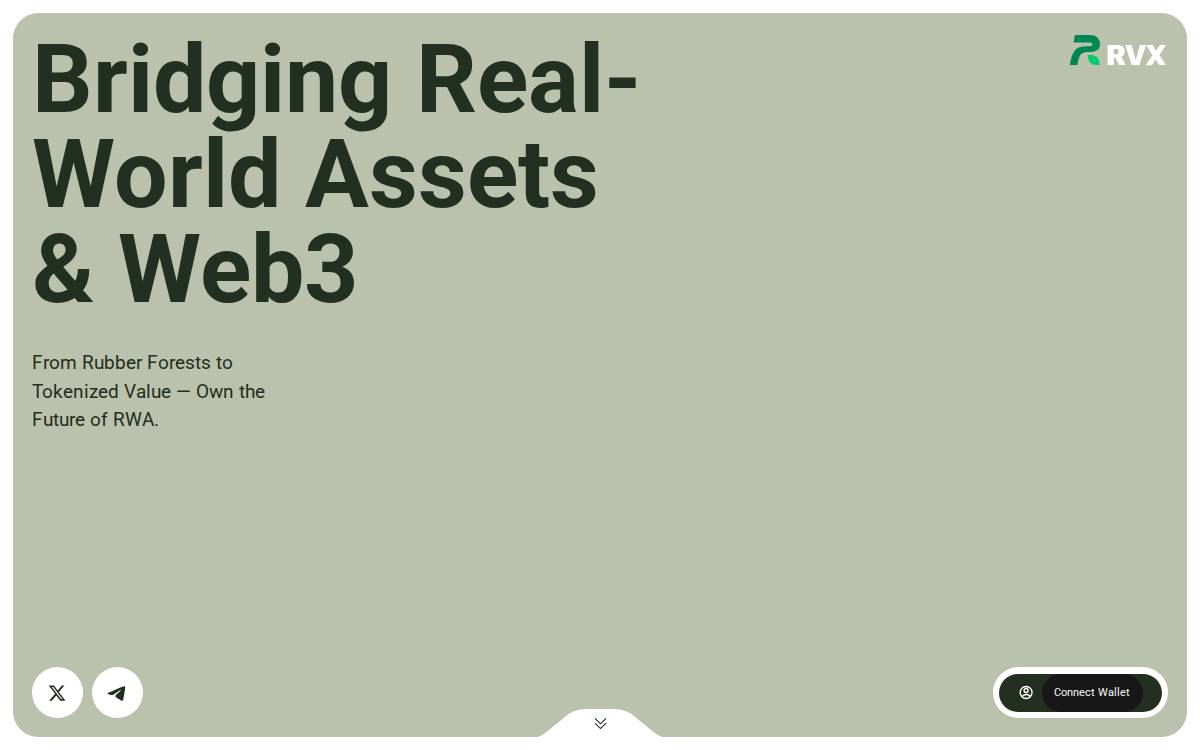 Rvx website preview