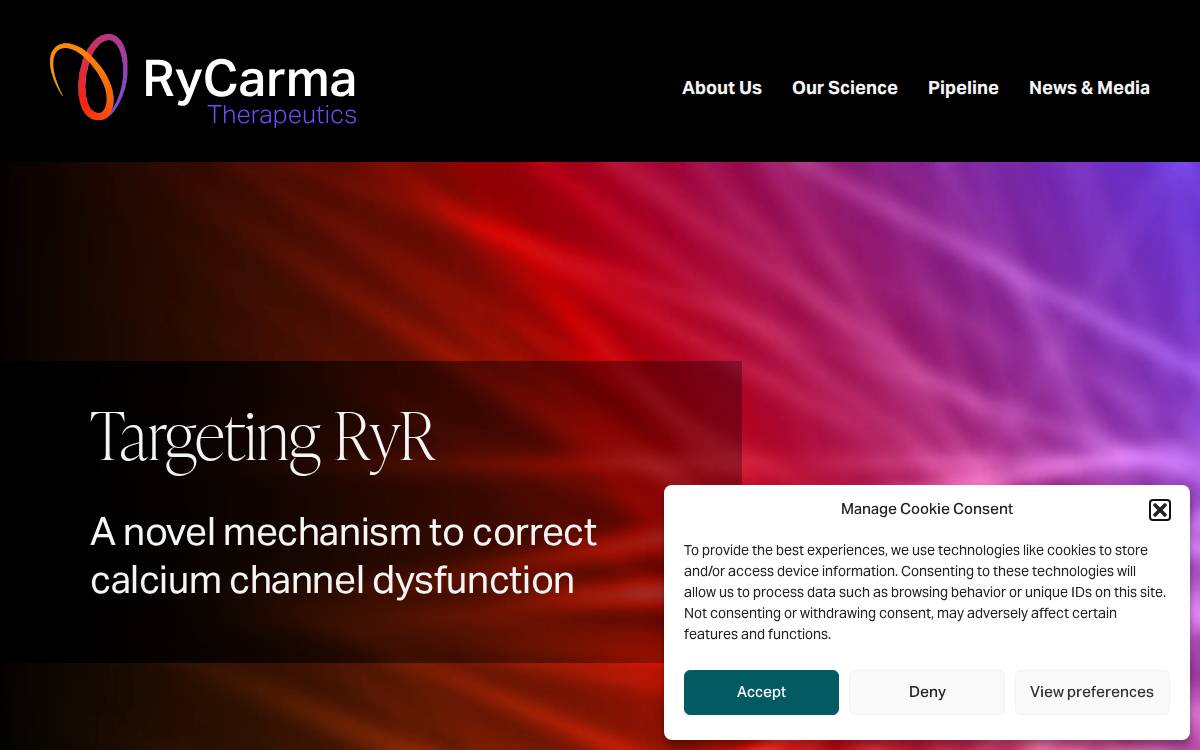 Rycarma website preview