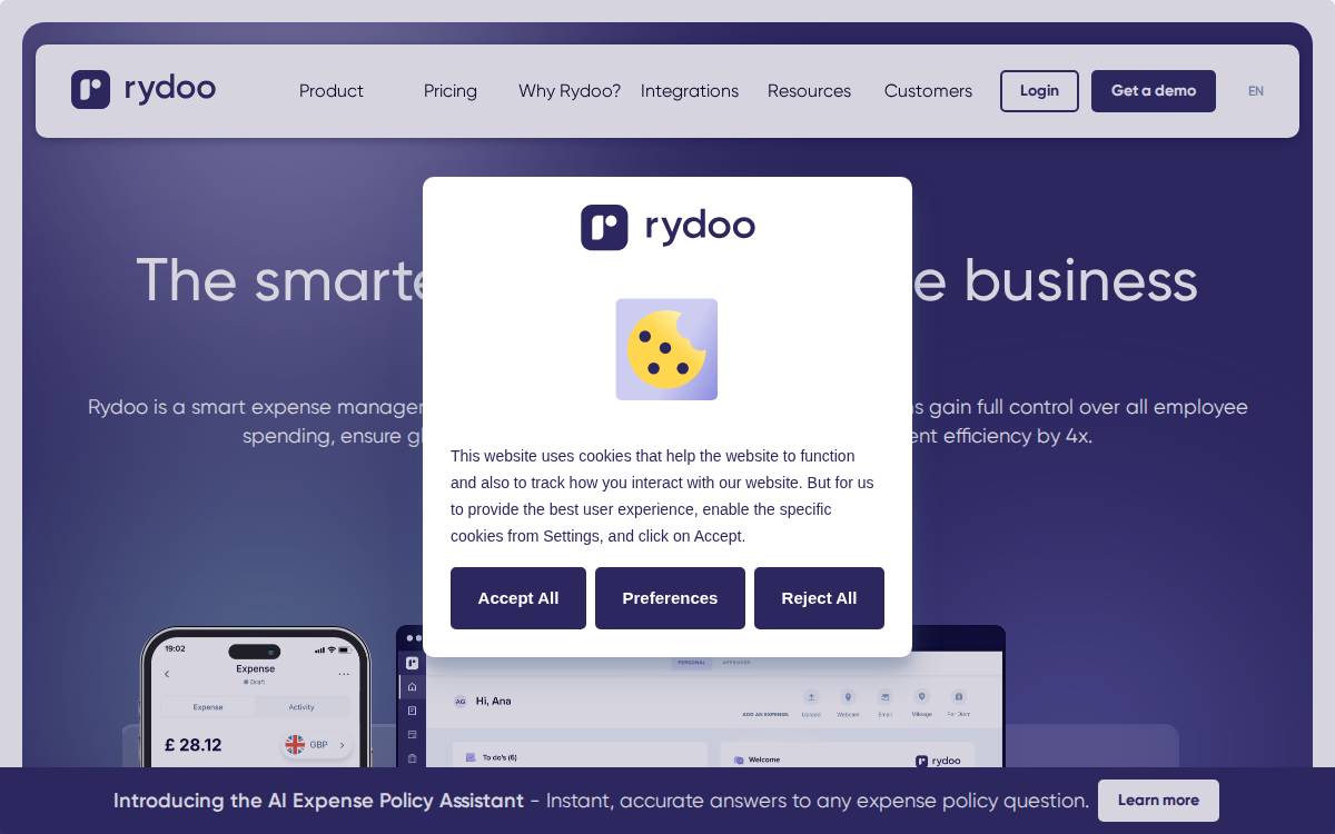 Rydoo website preview
