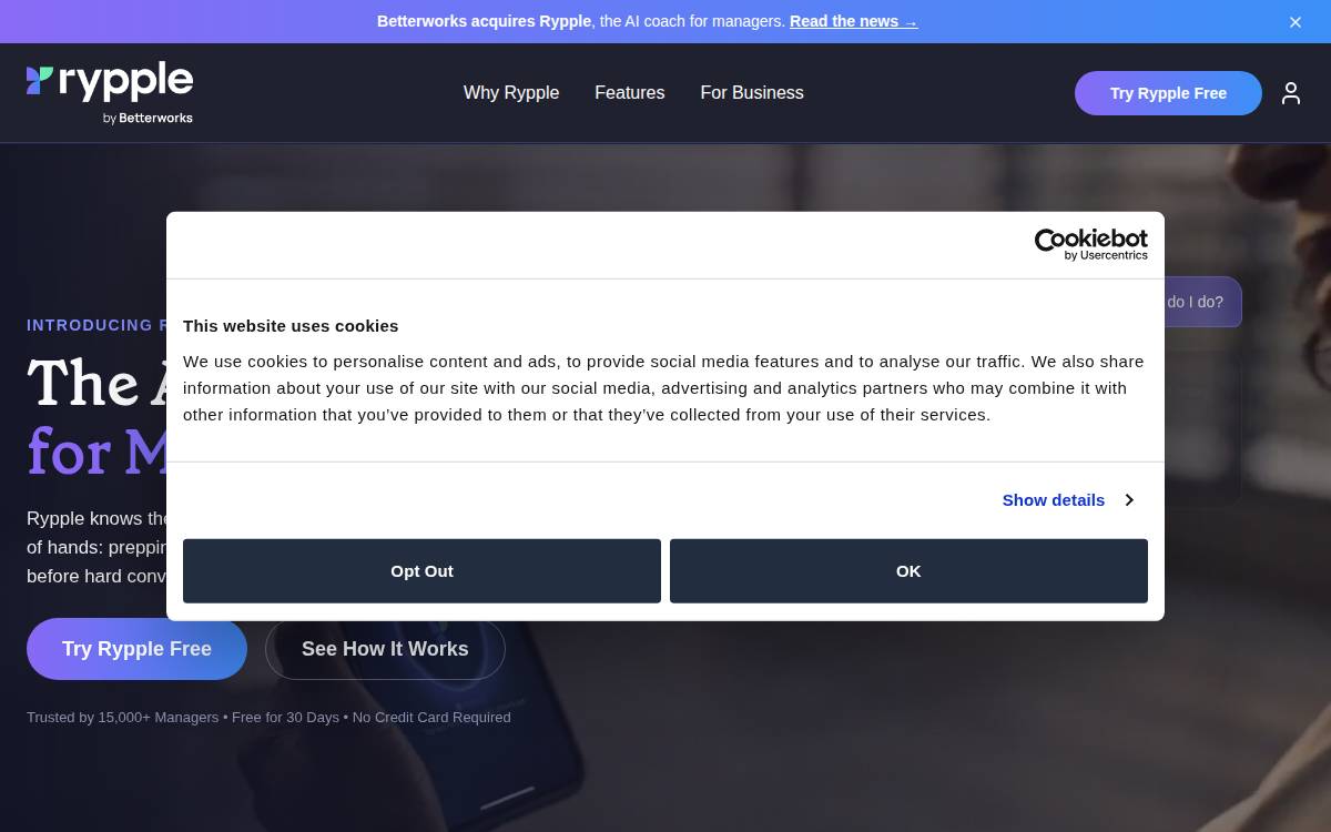 Rypple website preview