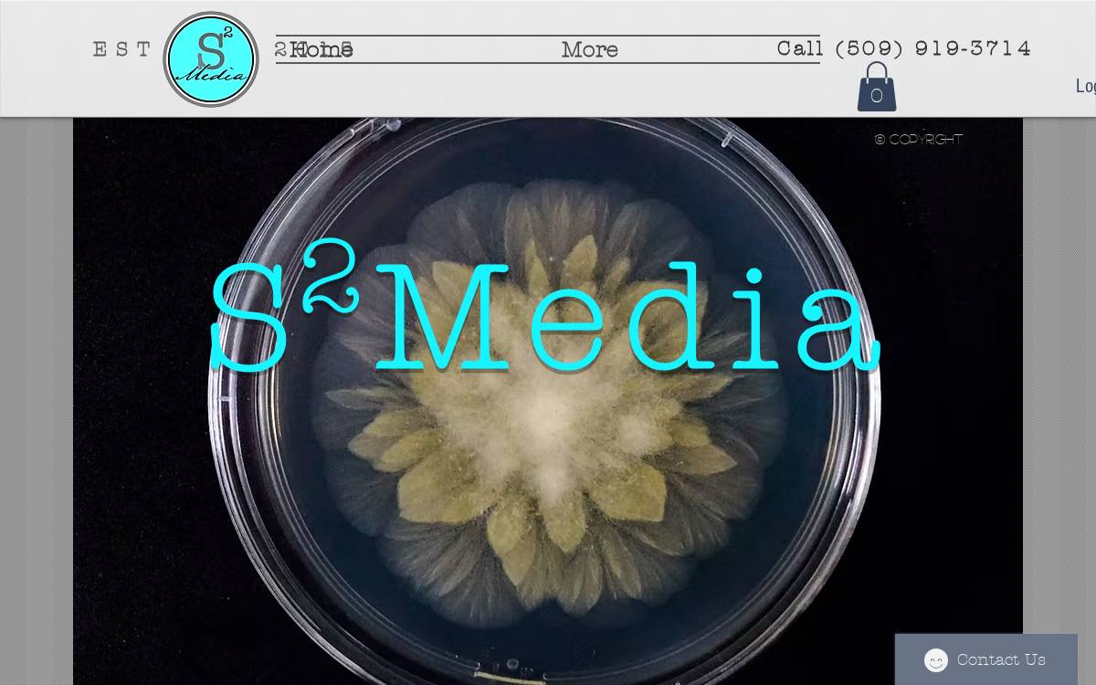 S2Media website preview