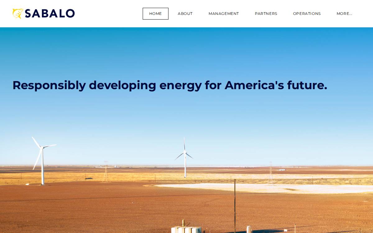 Sabaloenergy website preview