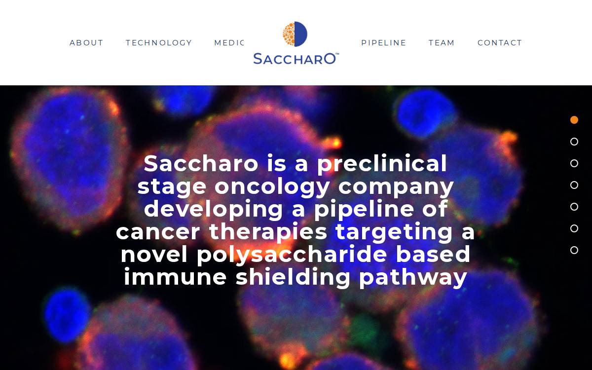 Saccharo website preview