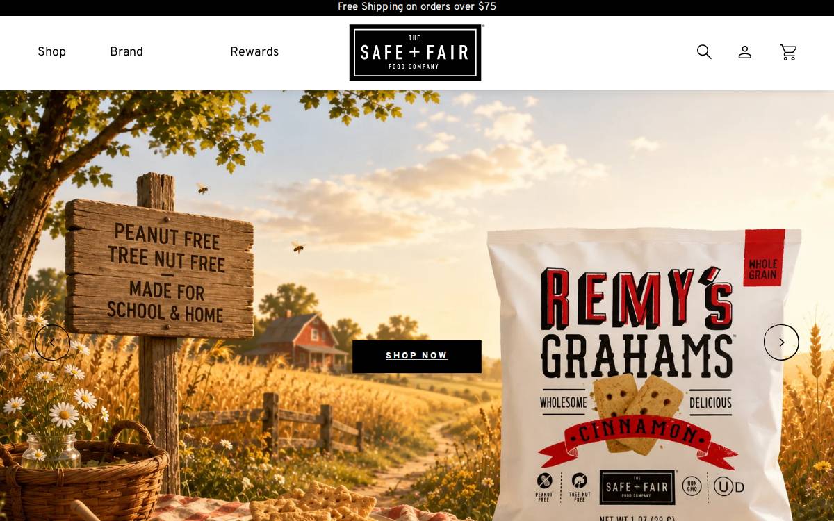 Safeandfair website preview