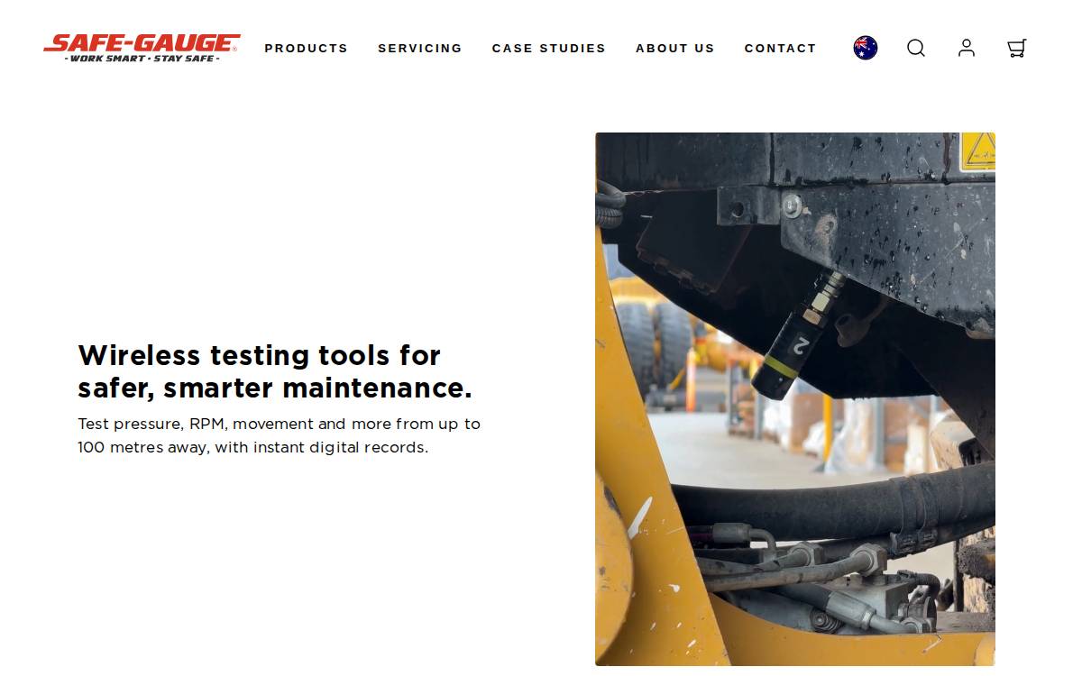 SafeGauge Store website preview
