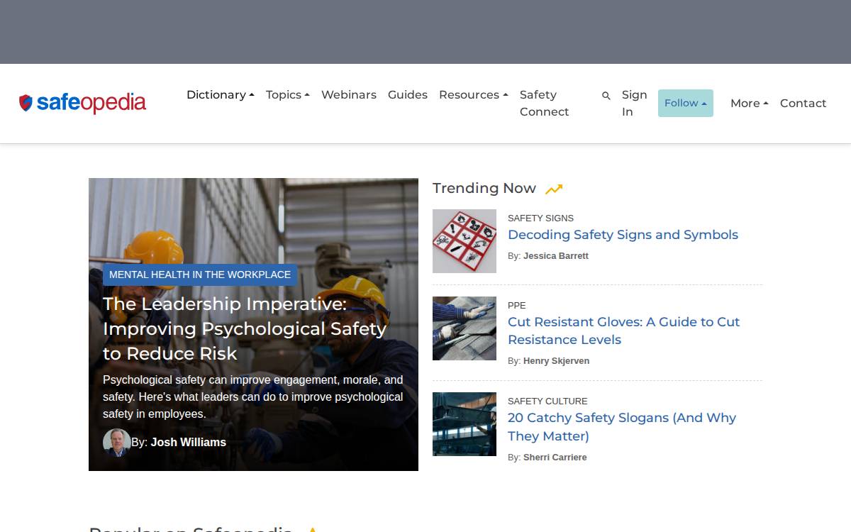 Safeopedia Website website preview