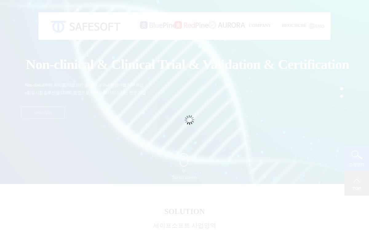 Safesoft website preview