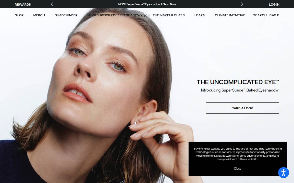 Saie website preview