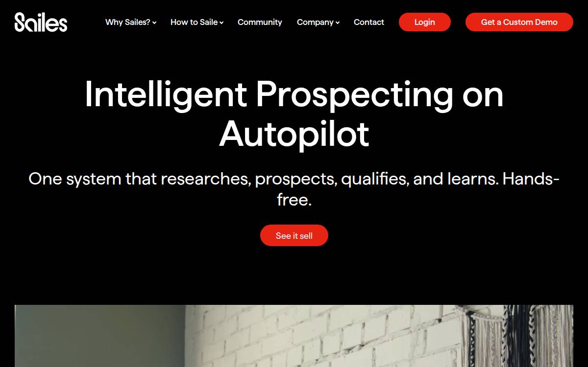 Sailes website preview