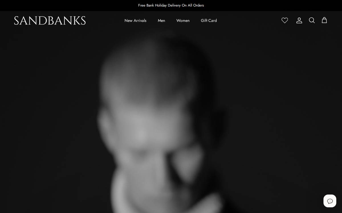 Saint Witz Limited website preview