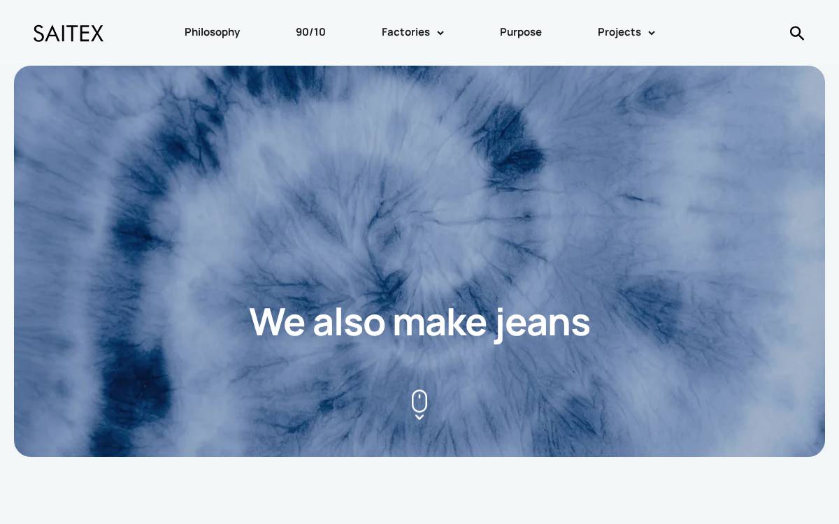 Saitex website preview