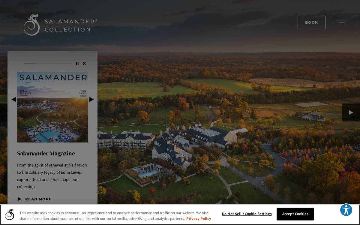 Salamanderdc website preview