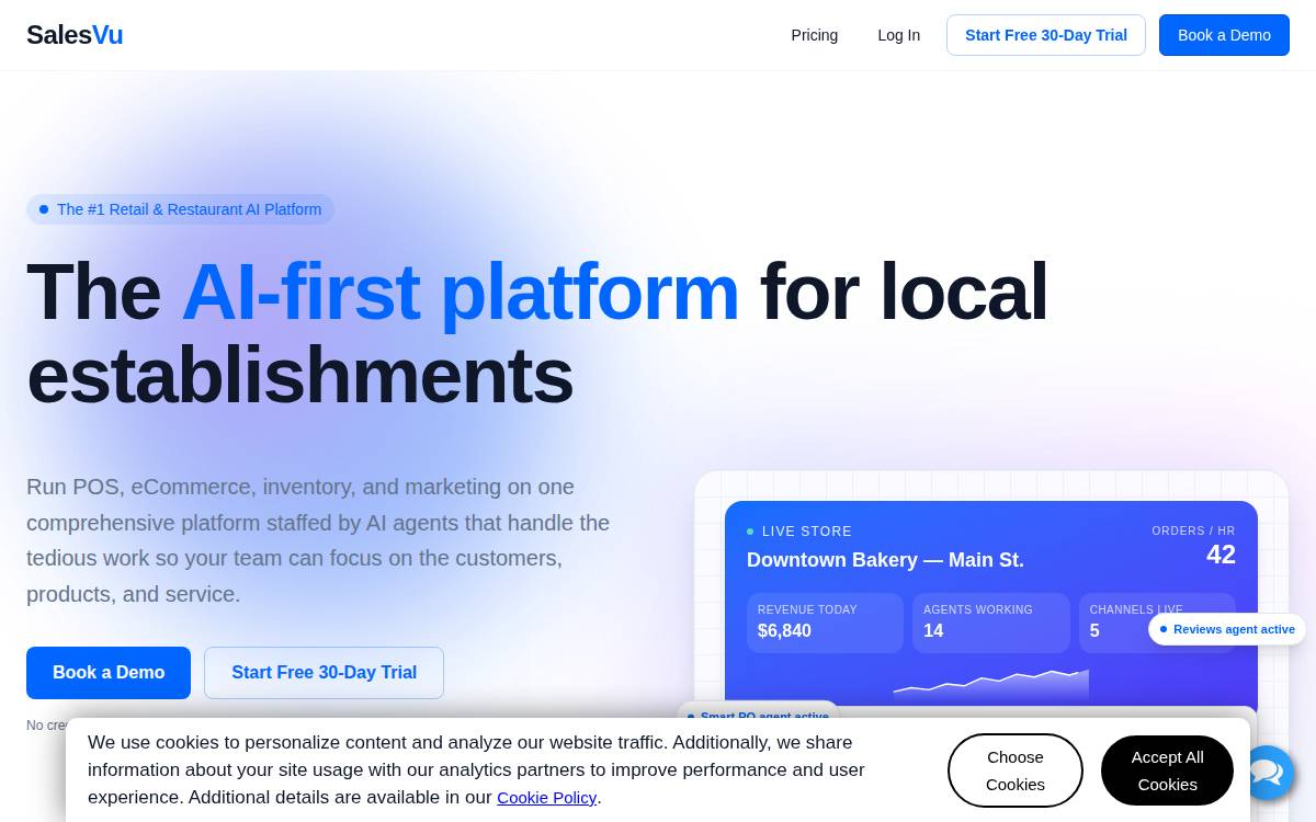 SalesVu website preview
