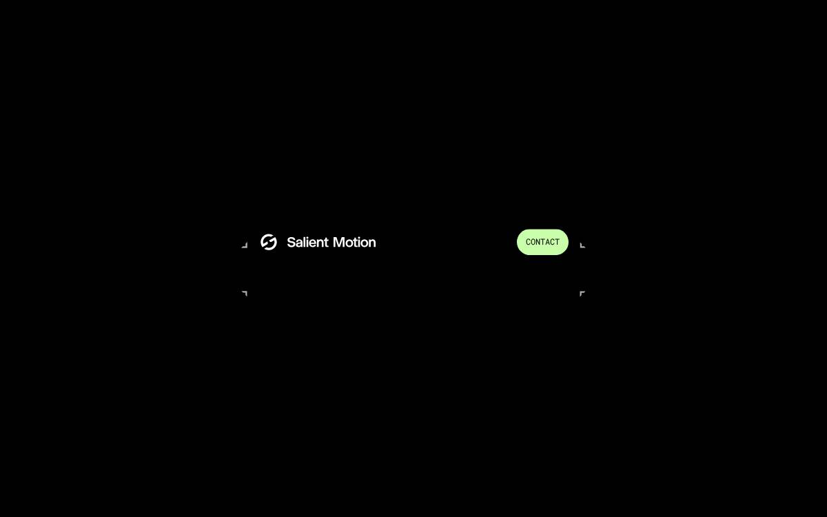Salient Motion website preview