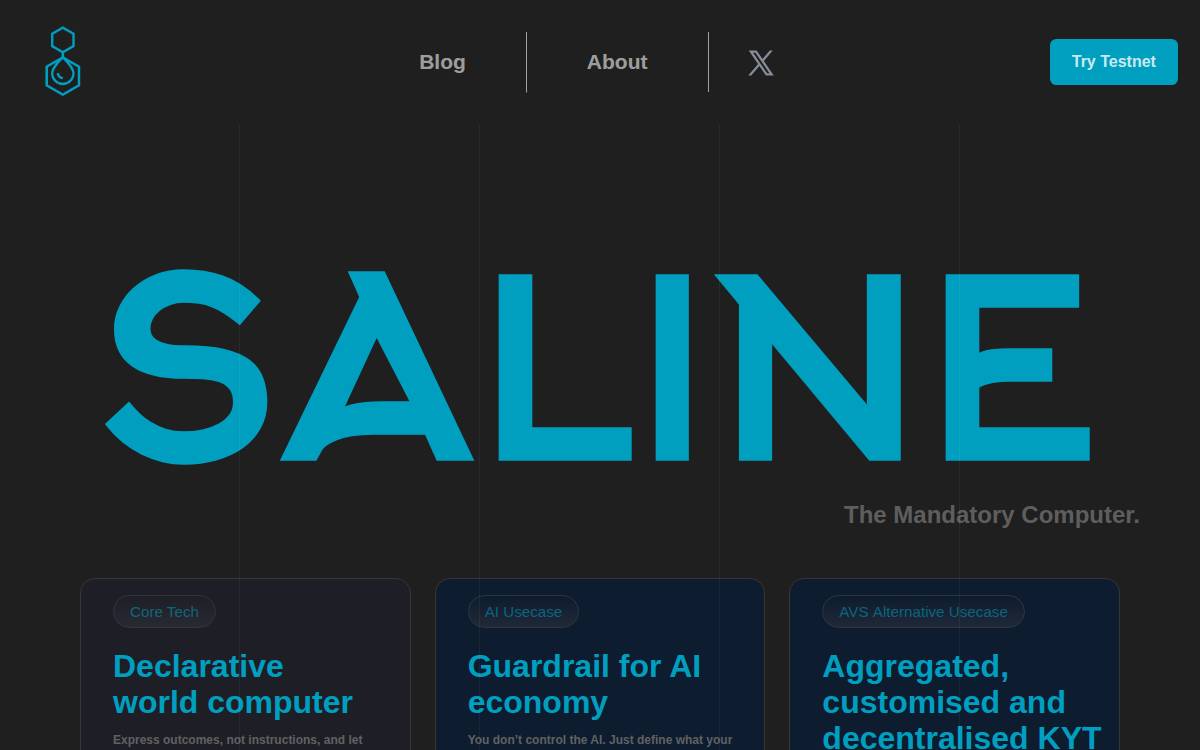 saline website preview