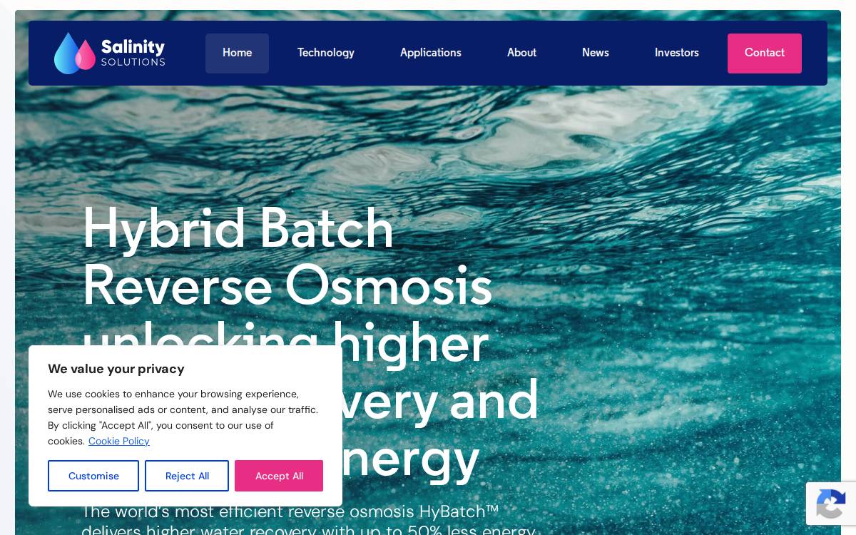 Salinity Solutions website preview